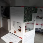 Kultur und Information